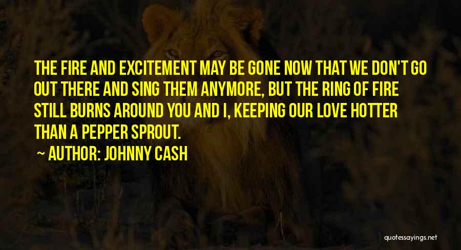 Johnny Cash Quotes 1768287