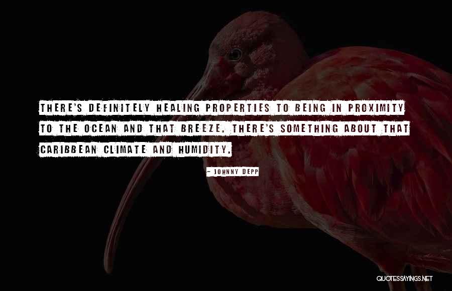 Johnny Depp Quotes 941970 Johnny Depp Quotes 941970