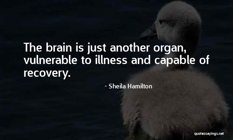 Johnny Gaddar Quotes By Sheila Hamilton Johnny Gaddar Quotes By Sheila Hamilton