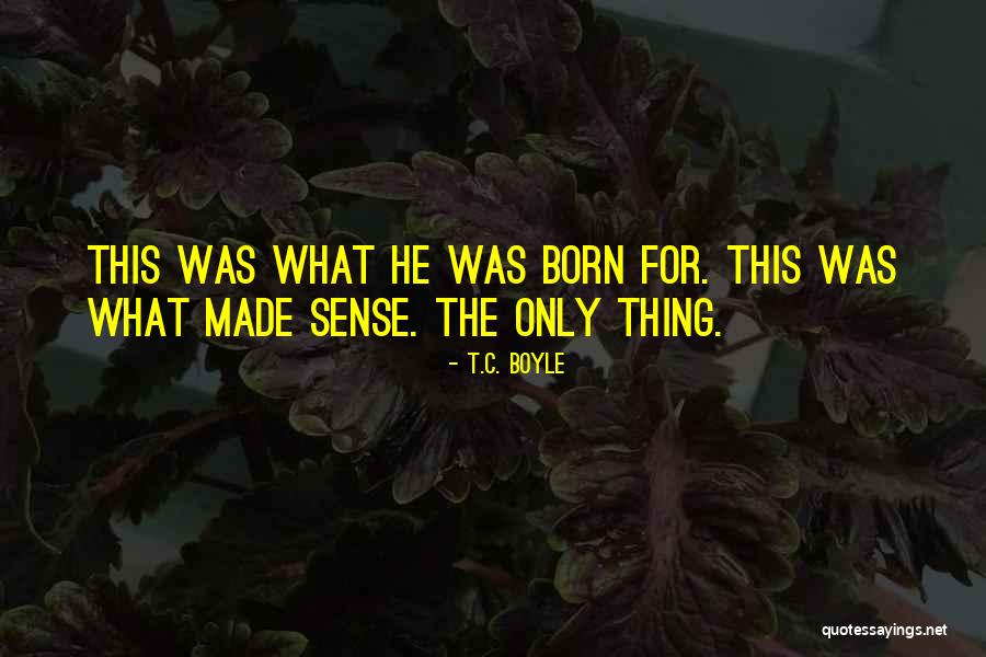 Johnny Macbrown Quotes By T.C. Boyle Johnny Macbrown Quotes By T.C. Boyle