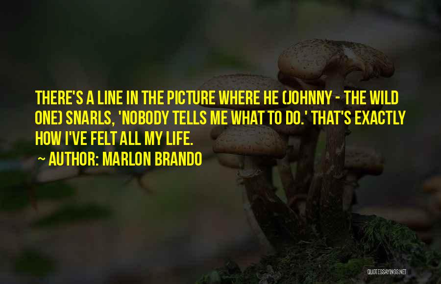 Johnny O'keefe Quotes By Marlon Brando