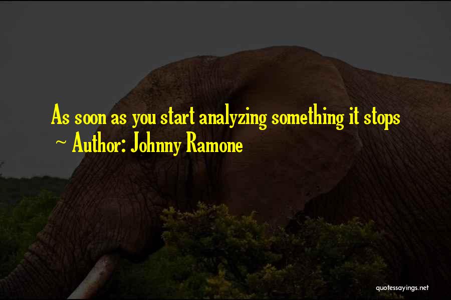 Johnny Ramone Quotes 1045665