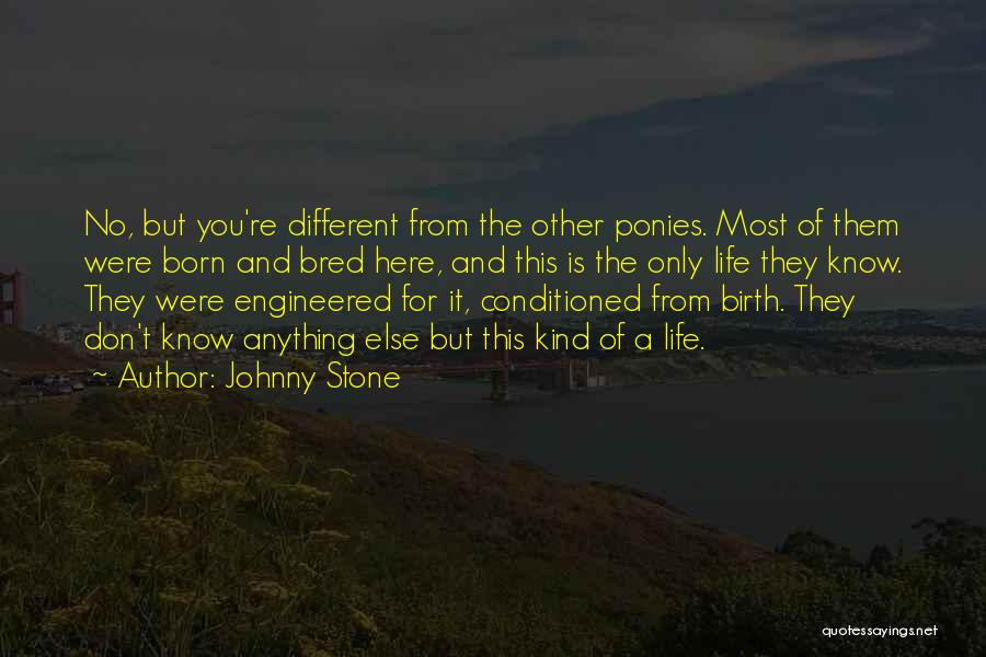 Johnny Stone Quotes 1715113