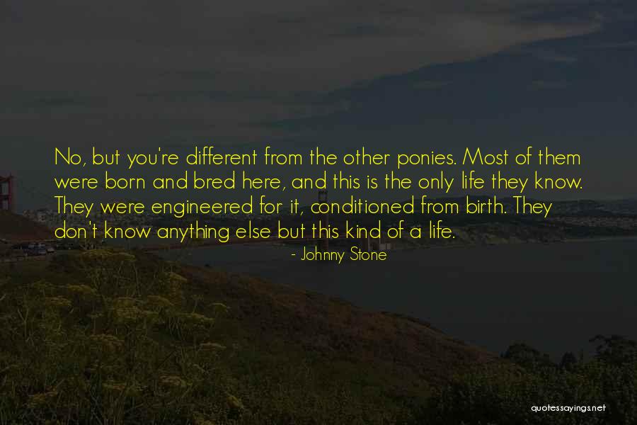 Johnny Stone Quotes 1715113