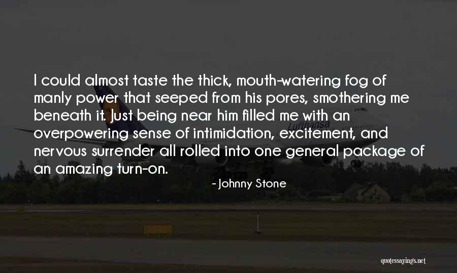 Johnny Stone Quotes 1860930