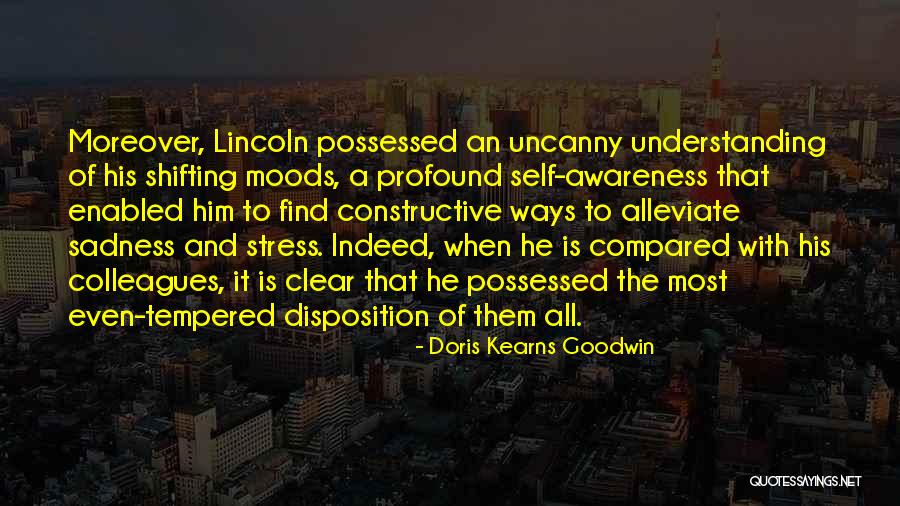 Johnsonian Equatorial Platforms Quotes By Doris Kearns Goodwin Johnsonian Equatorial Platforms Quotes By Doris Kearns Goodwin