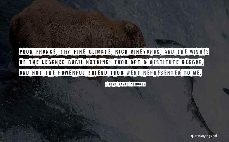 Johntae Player Quotes By John James Audubon Johntae Player Quotes By John James Audubon