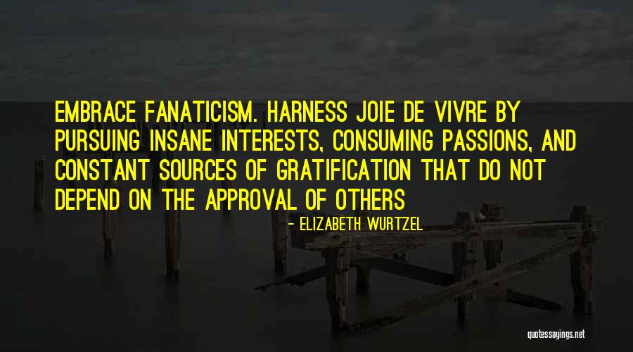 Joie De Vivre Quotes By Elizabeth Wurtzel