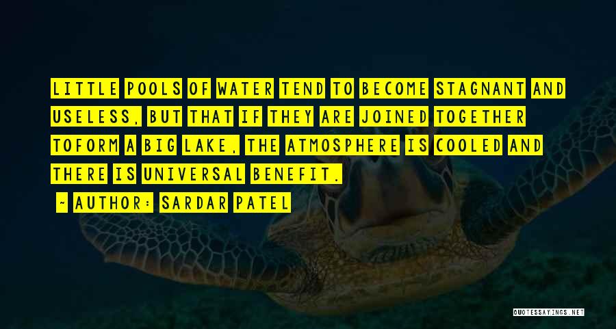 Joined Together Quotes By Sardar Patel