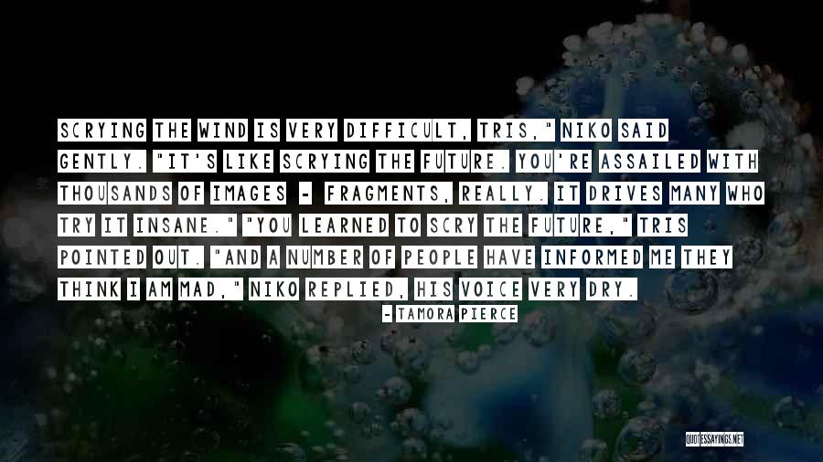 Joinings Quotes By Tamora Pierce Joinings Quotes By Tamora Pierce