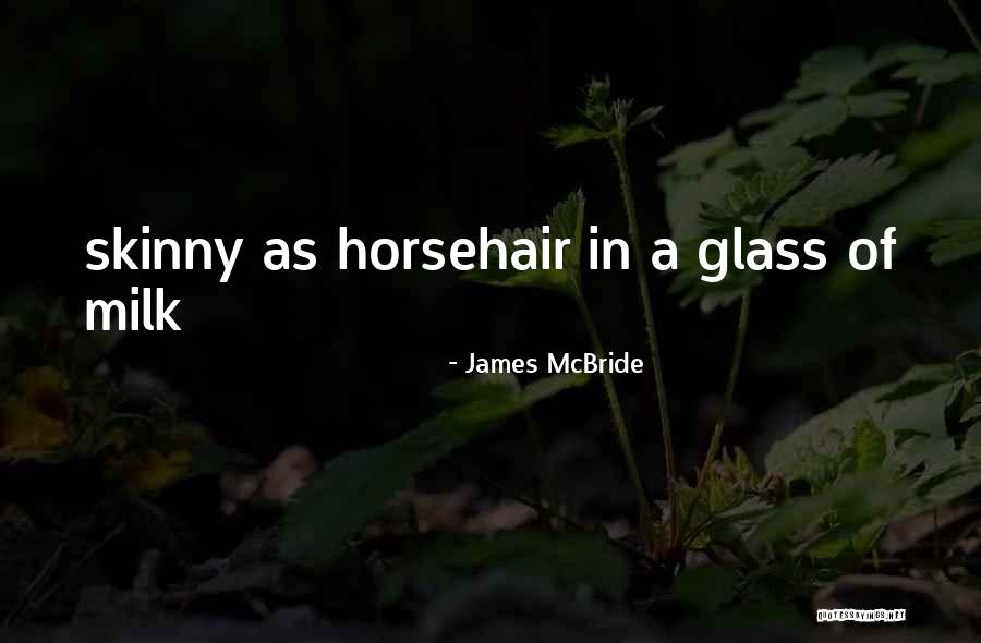 Jokanovica Quotes By James McBride