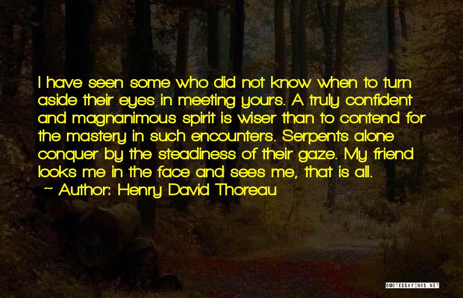 Joker Henchman Quotes By Henry David Thoreau