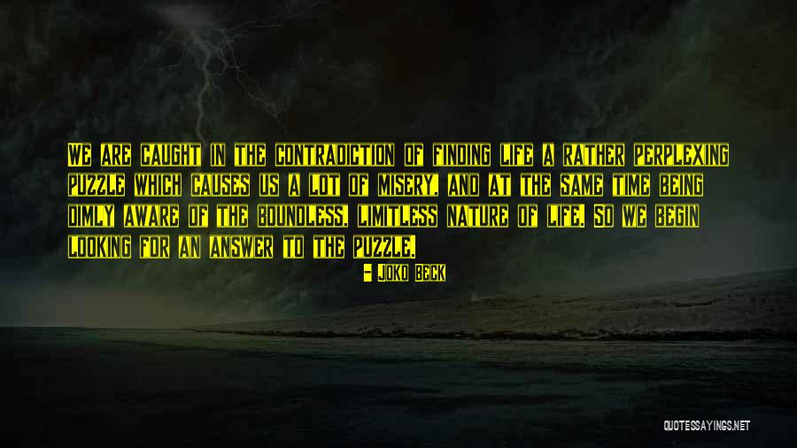 Joko Beck Quotes 367483 Joko Beck Quotes 367483