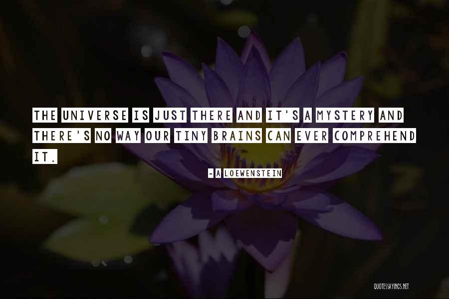 Jolanda De Rienzo Quotes By A Loewenstein Jolanda De Rienzo Quotes By A Loewenstein