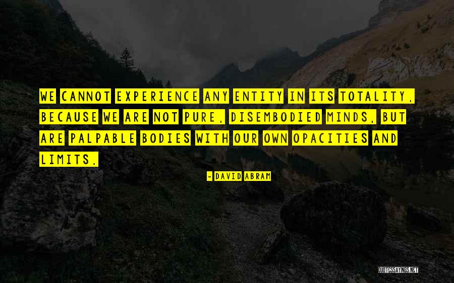 Jolbert Cabrera Quotes By David Abram Jolbert Cabrera Quotes By David Abram