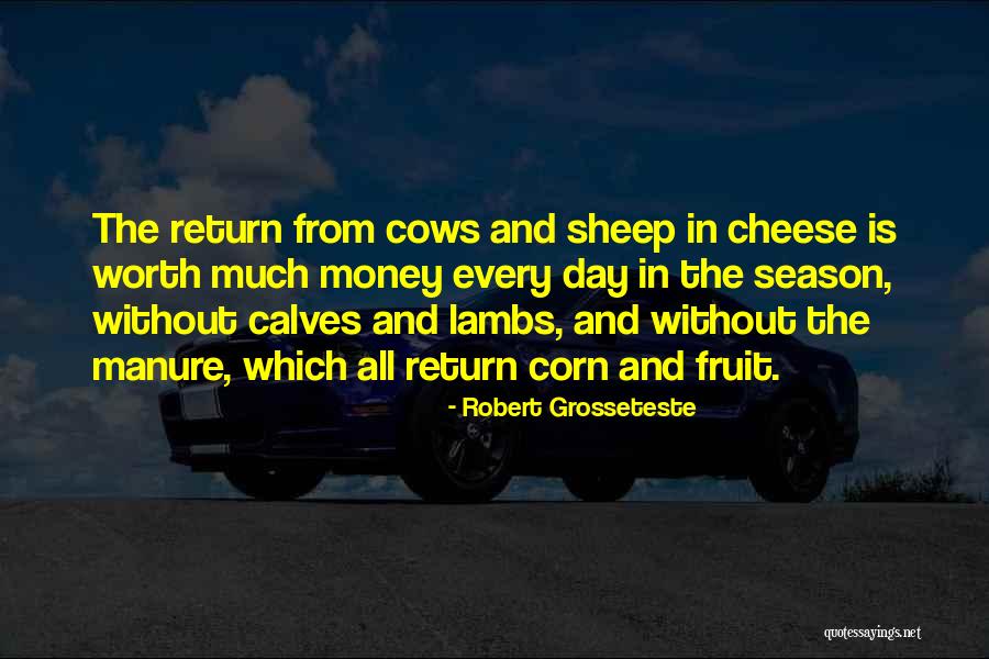 Jolijn Pronounce Quotes By Robert Grosseteste Jolijn Pronounce Quotes By Robert Grosseteste