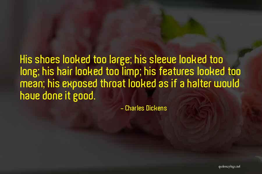 Jolivettes Lake Quotes By Charles Dickens Jolivettes Lake Quotes By Charles Dickens