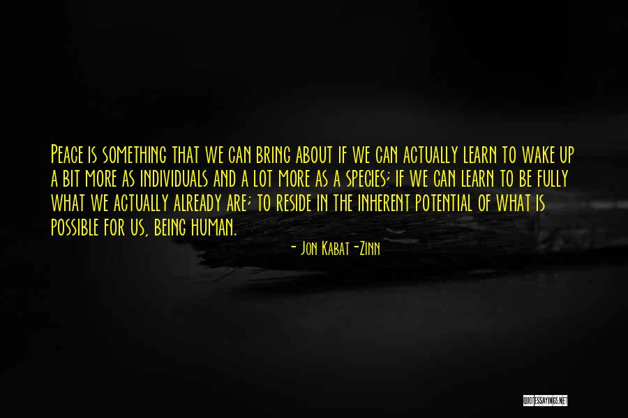Jon Kabat Quotes By Jon Kabat-Zinn Jon Kabat Quotes By Jon Kabat-Zinn
