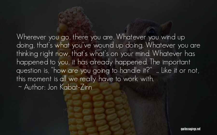 Jon Kabat-Zinn Quotes 106176