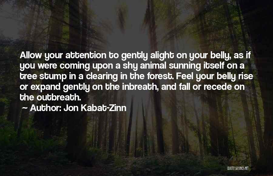 Jon Kabat-Zinn Quotes 1544222