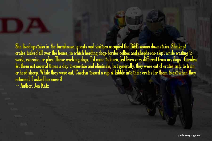 Jon Katz Quotes 1741743 Jon Katz Quotes 1741743