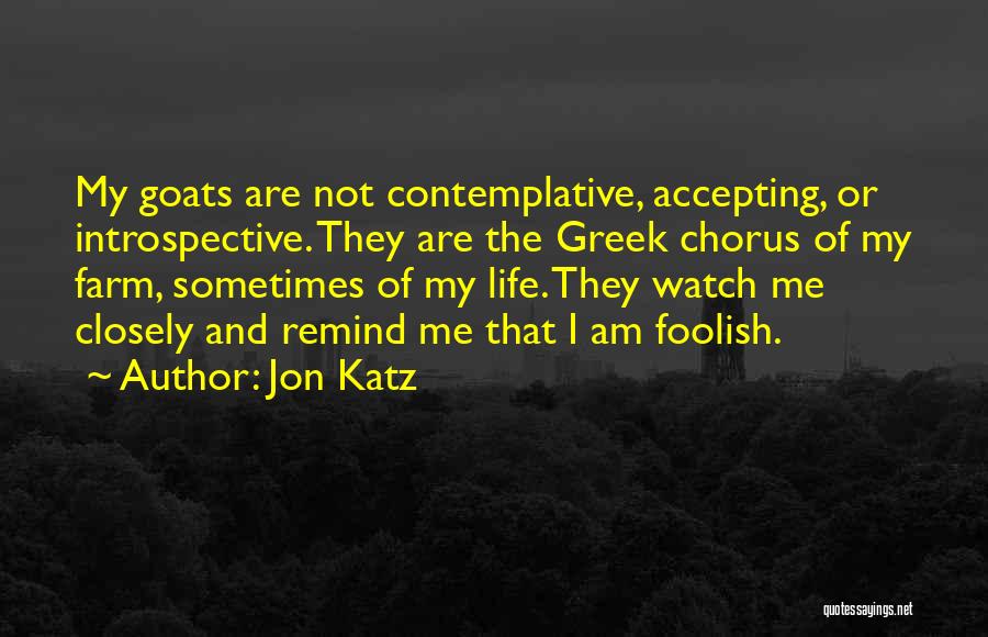 Jon Katz Quotes 2094993