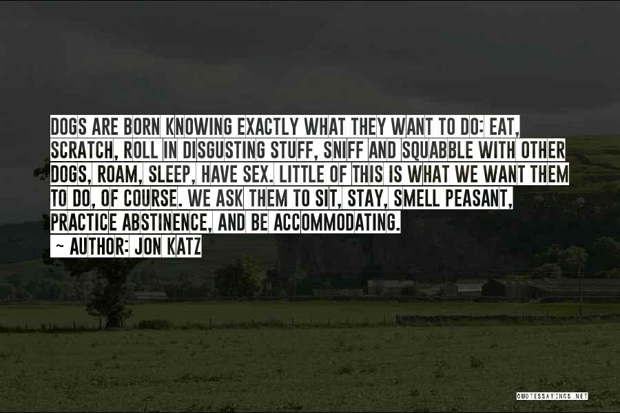 Jon Katz Quotes 2251392