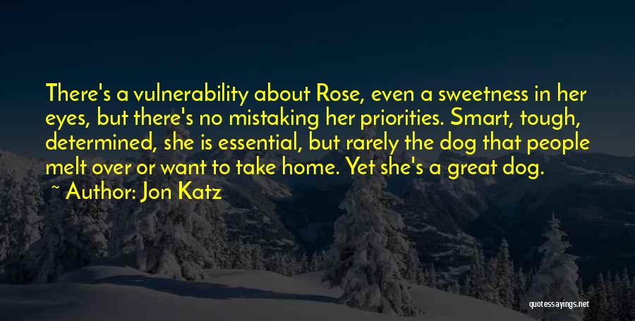 Jon Katz Quotes 493305