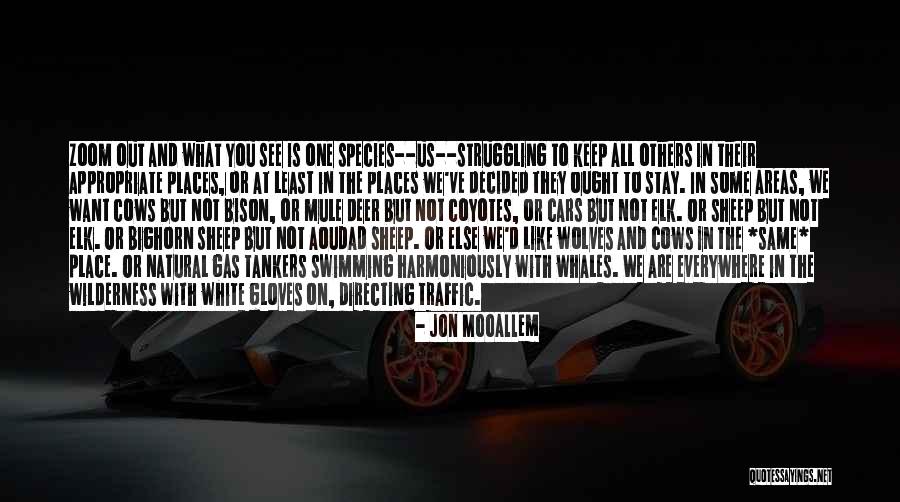 Jon Mooallem Quotes 1977001 Jon Mooallem Quotes 1977001