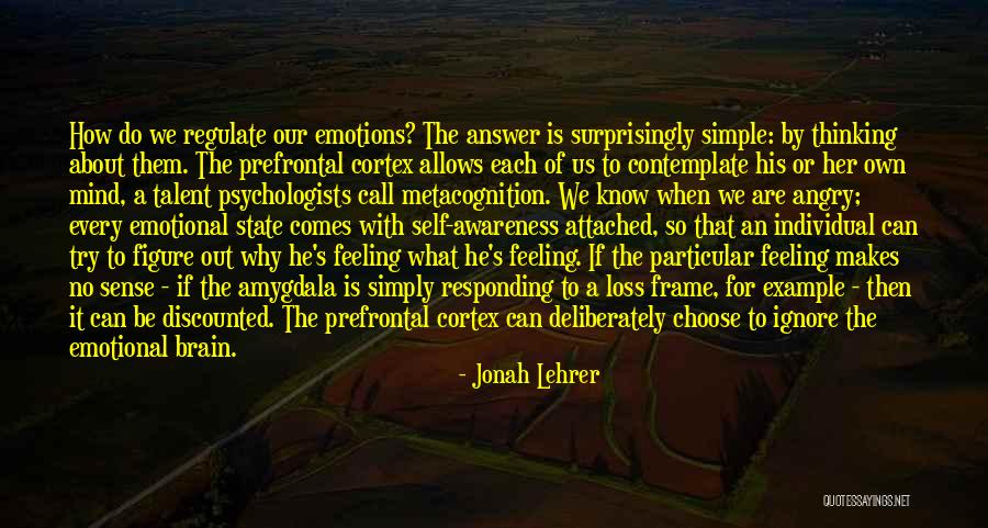 Jonah Lehrer Quotes 1805216 Jonah Lehrer Quotes 1805216