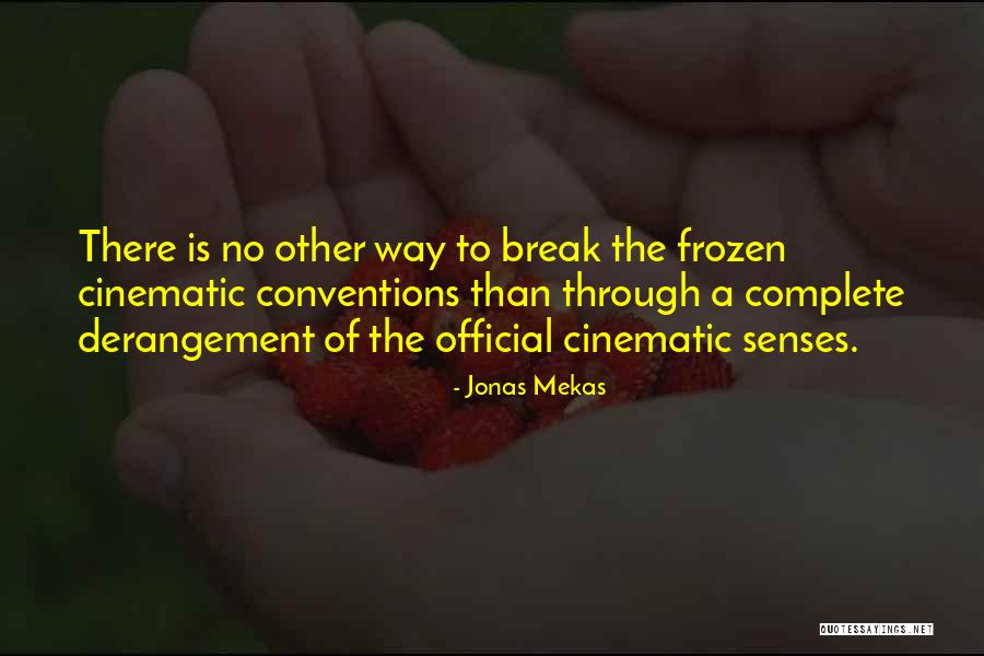 Jonas Mekas Quotes 1043305