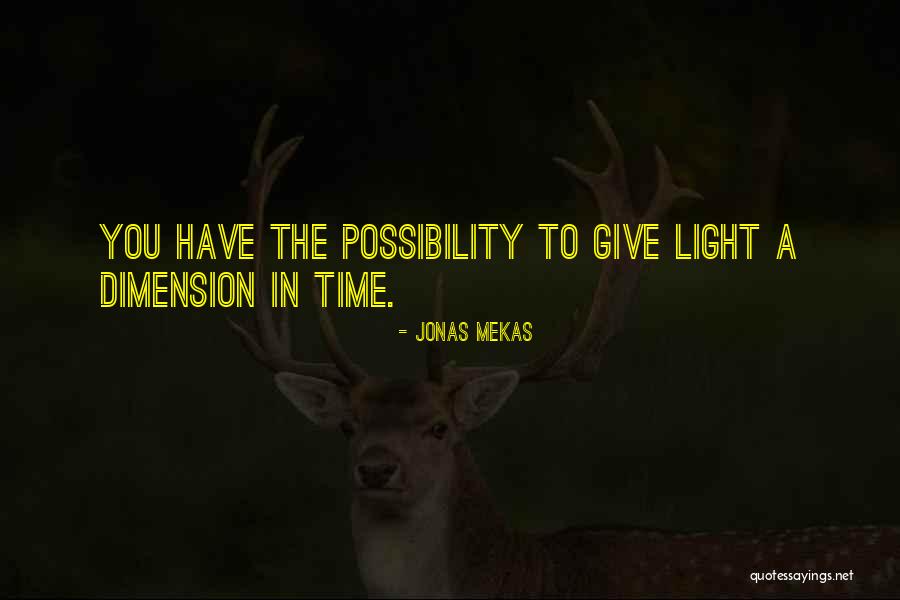 Jonas Mekas Quotes 1940739