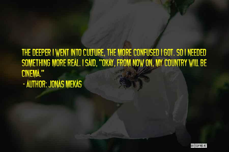 Jonas Mekas Quotes 470681