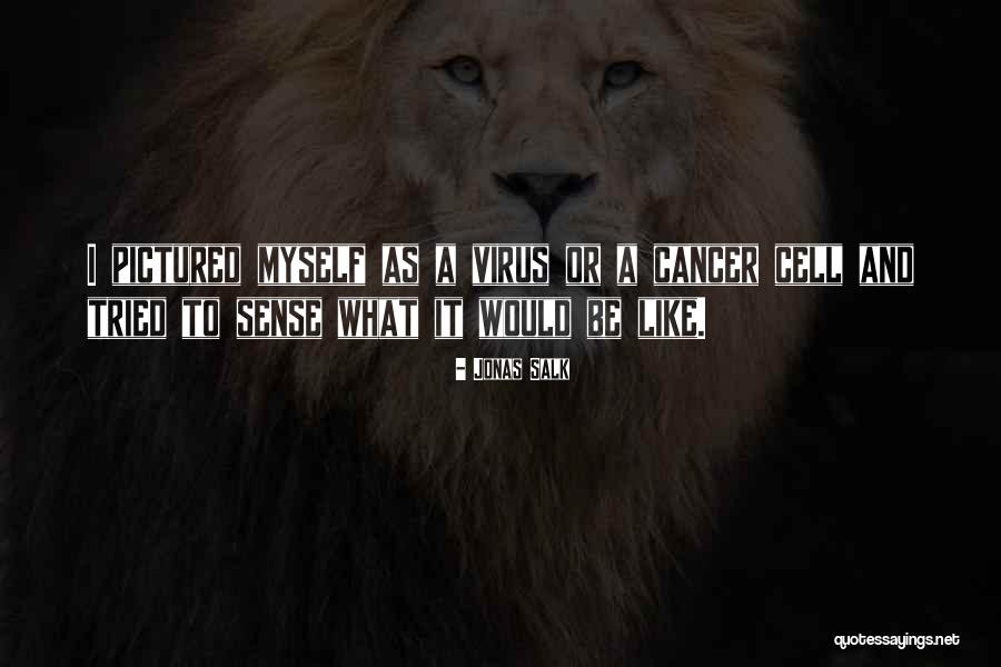 Jonas Salk Quotes 241756 Jonas Salk Quotes 241756