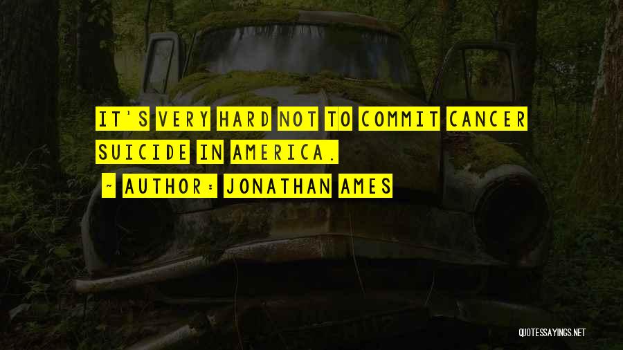 Jonathan Ames Quotes 1786179