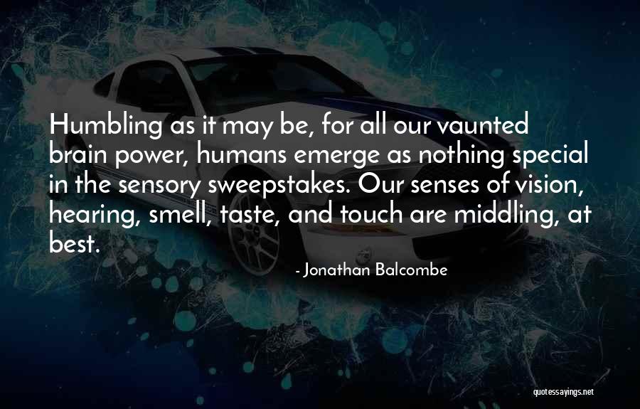 Jonathan Balcombe Quotes 1485772