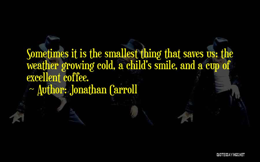 Jonathan Carroll Quotes 356390