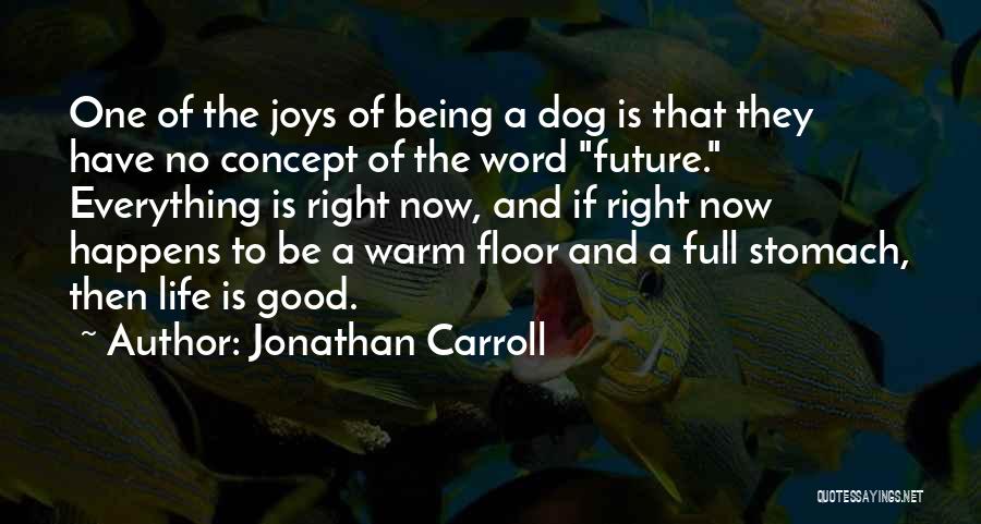 Jonathan Carroll Quotes 360163