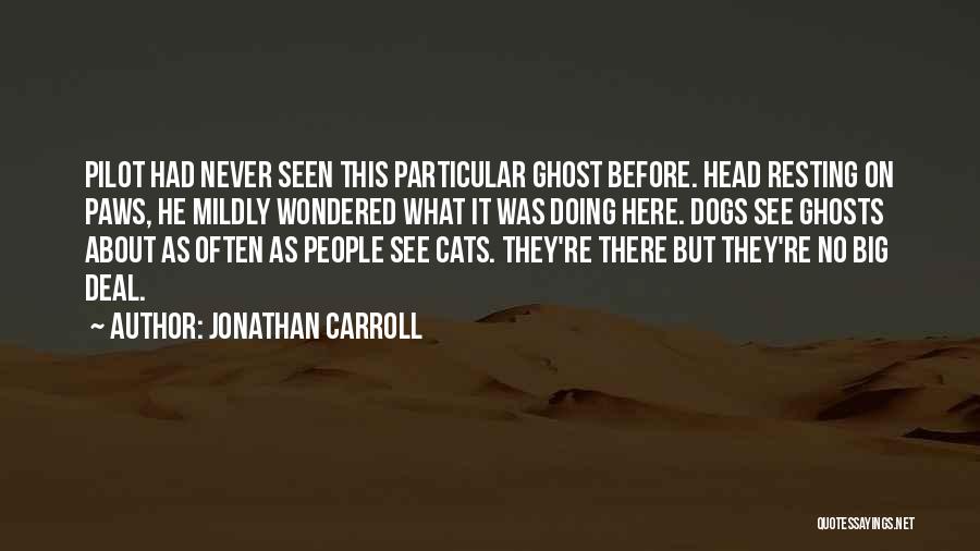 Jonathan Carroll Quotes 442213