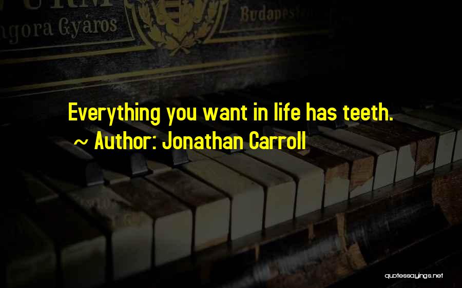 Jonathan Carroll Quotes 694052