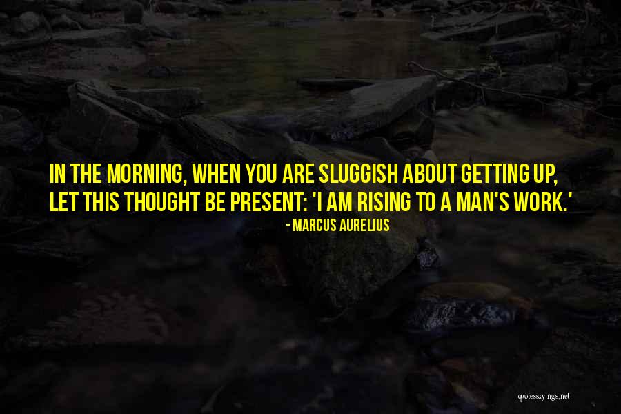 Jonathan Christopher Morgenstern Quotes By Marcus Aurelius Jonathan Christopher Morgenstern Quotes By Marcus Aurelius