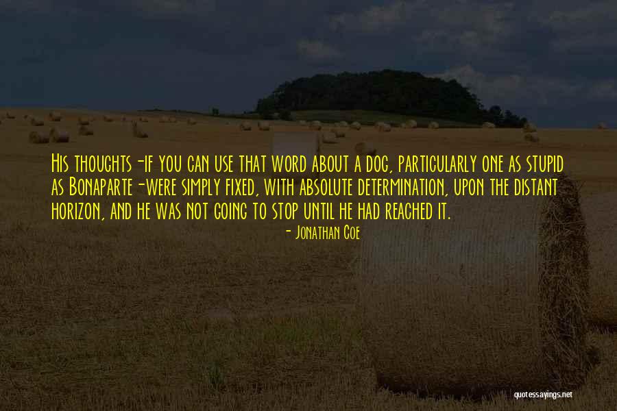 Jonathan Coe Quotes 2070363 Jonathan Coe Quotes 2070363