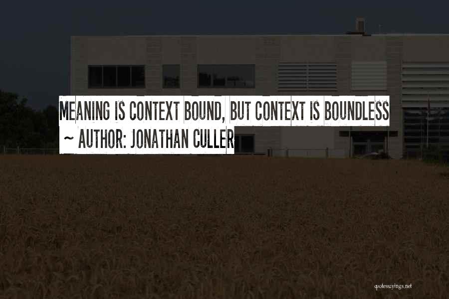 Jonathan Culler Quotes 2156539