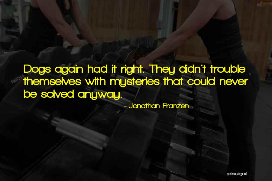 Jonathan Franzen Quotes 1083462