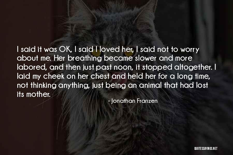 Jonathan Franzen Quotes 1190505