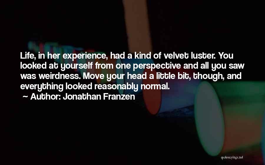 Jonathan Franzen Quotes 130165