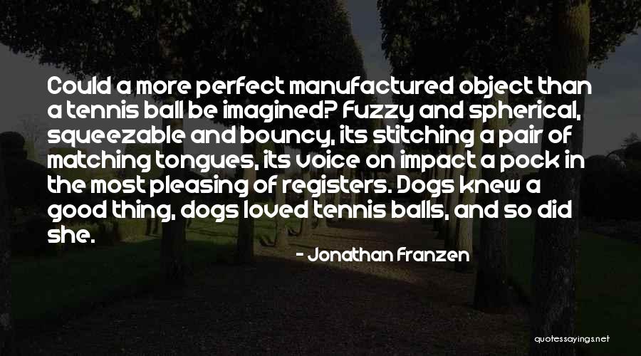 Jonathan Franzen Quotes 1963853