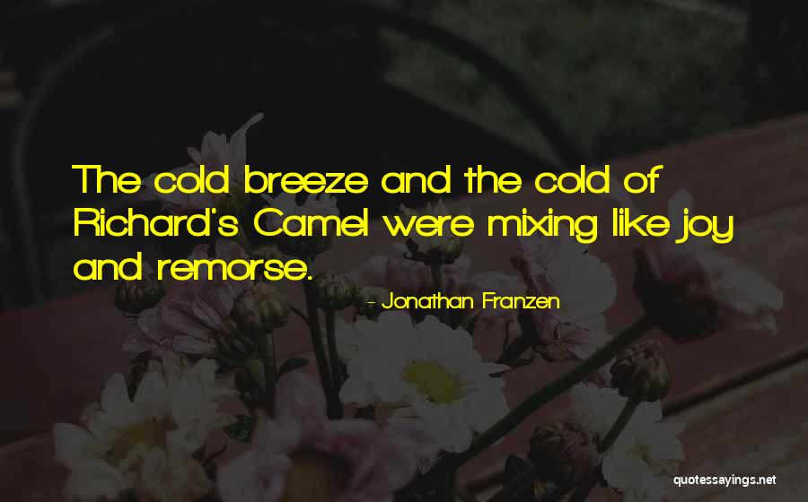 Jonathan Franzen Quotes 456162