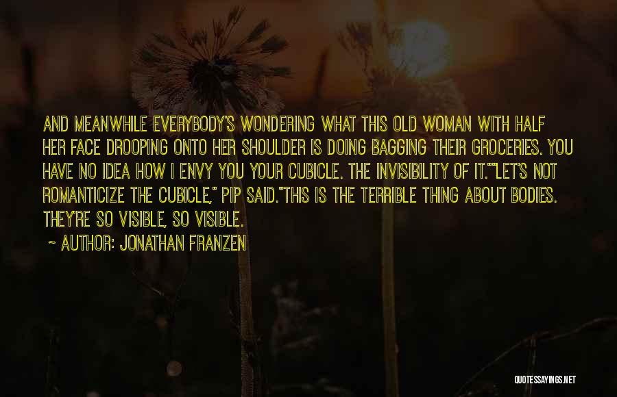 Jonathan Franzen Quotes 733902