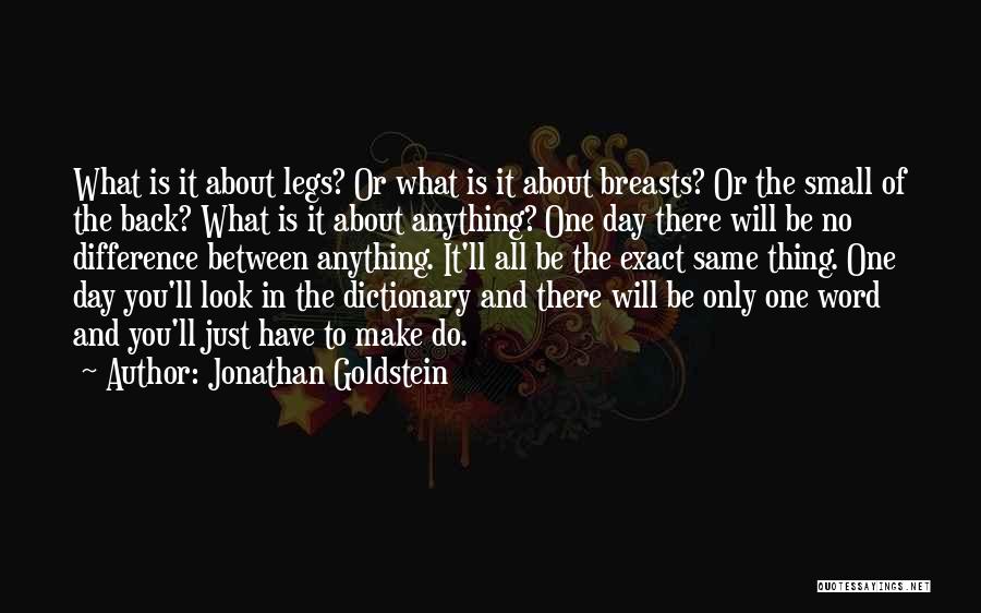 Jonathan Goldstein Quotes 1931560